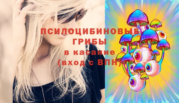винт Баксан