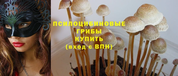 винт Баксан