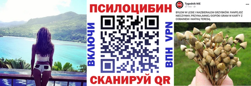 Галлюциногенные грибы мухоморы Купить где Углич